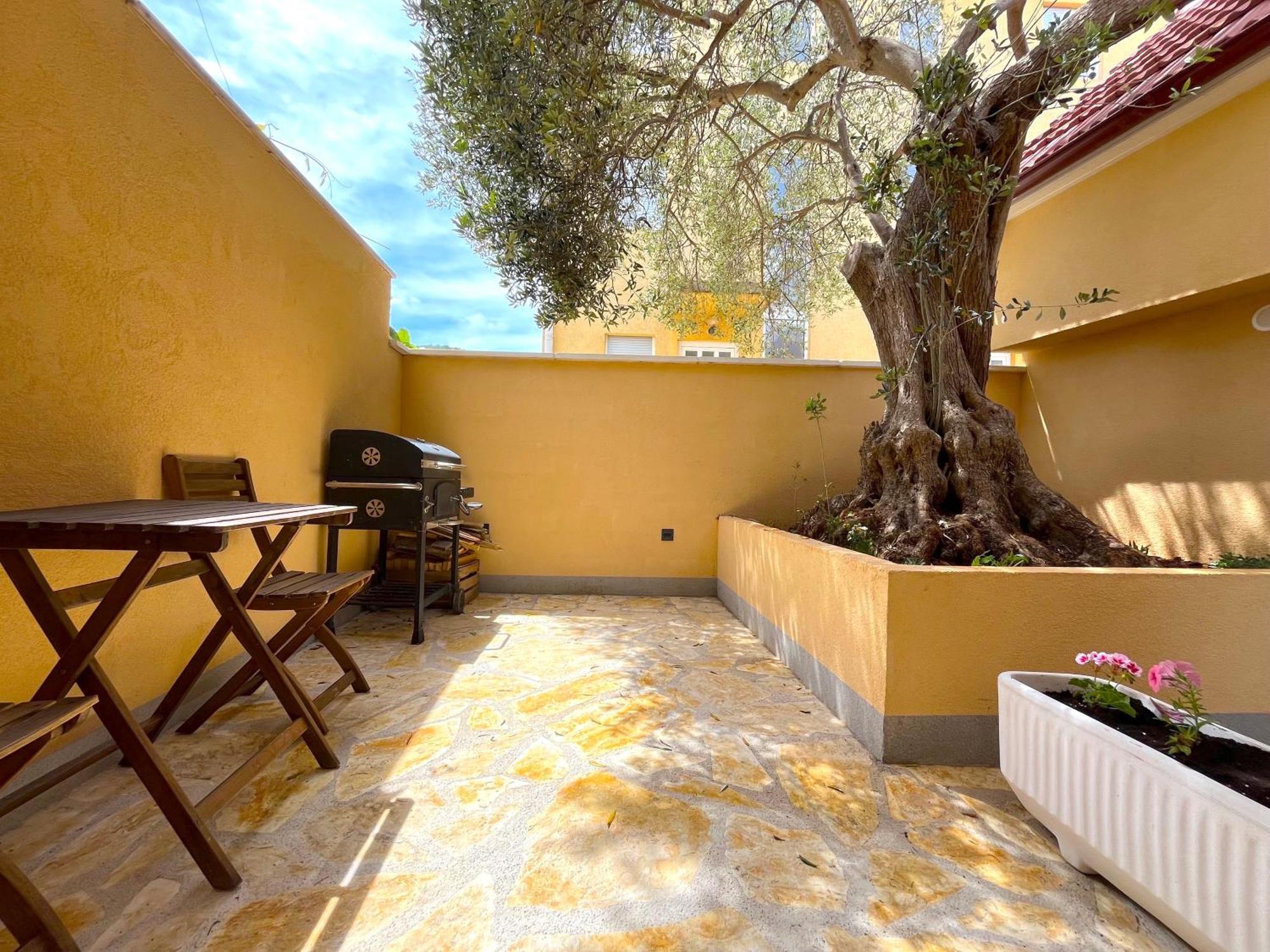 Апартаменты Olive Tree Стари Град Экстерьер фото