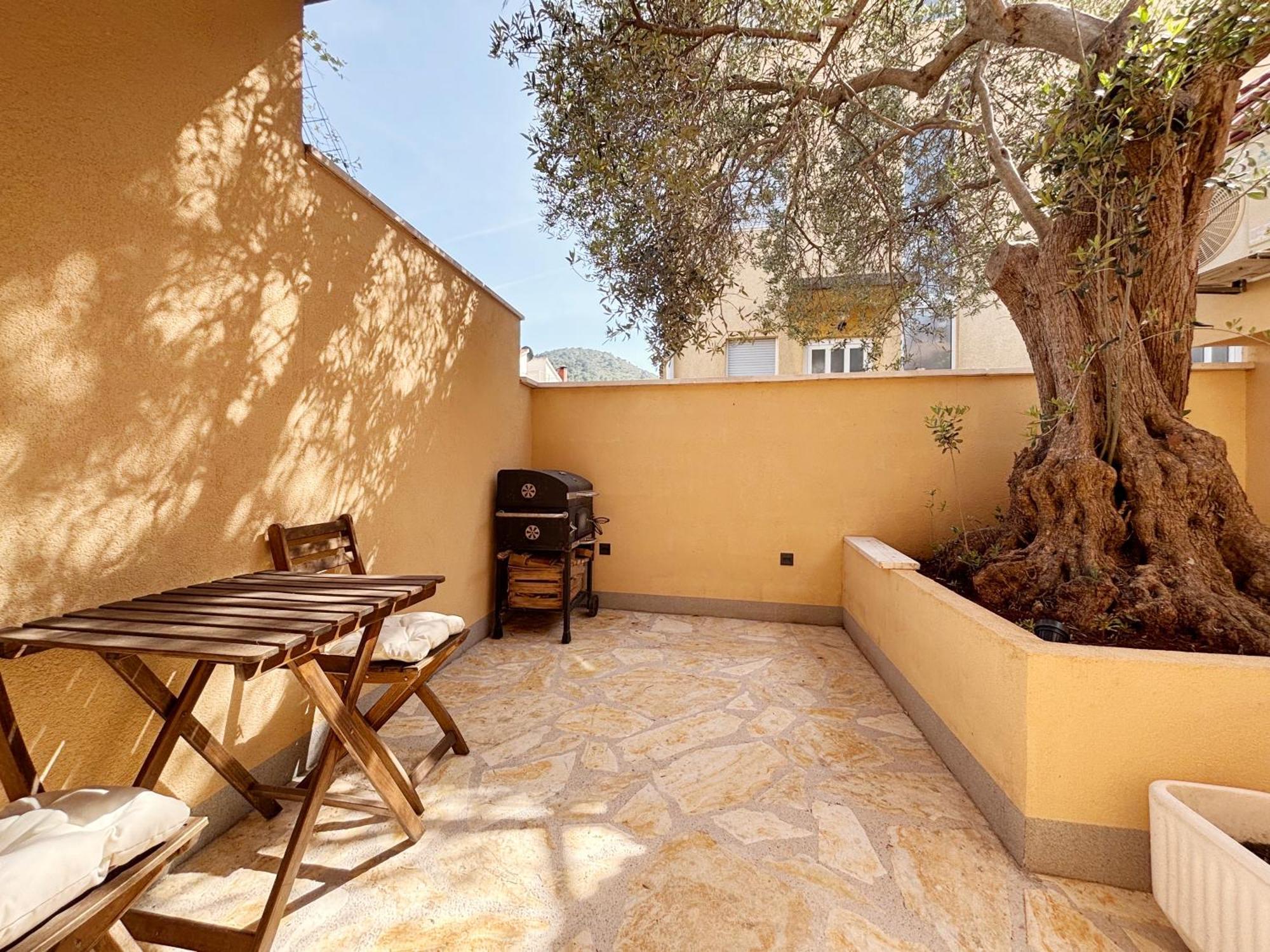 Апартаменты Olive Tree Стари Град Экстерьер фото